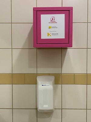 5 Szkoła Podstawowa nr 17